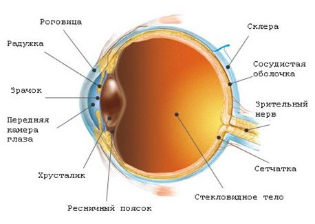 глаукома причины лечение