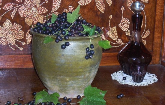 Как приготовить вино из чёрной смородины? Пять рецептов простых домашних вин из чёрной смородины: молодое, десертное, ликёрное