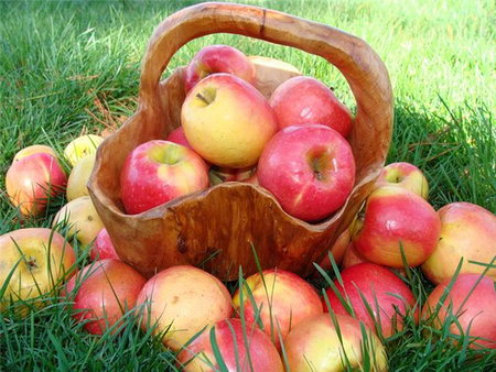 Яблоки снижают уровень холестерина