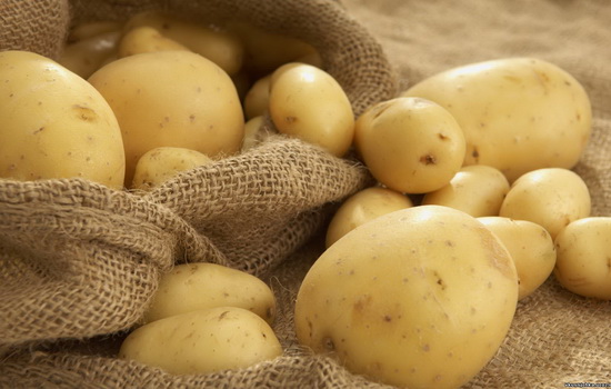 Картофель: польза и вред, калорийность. Чем действительно вредит картофель, и кому он полезен
