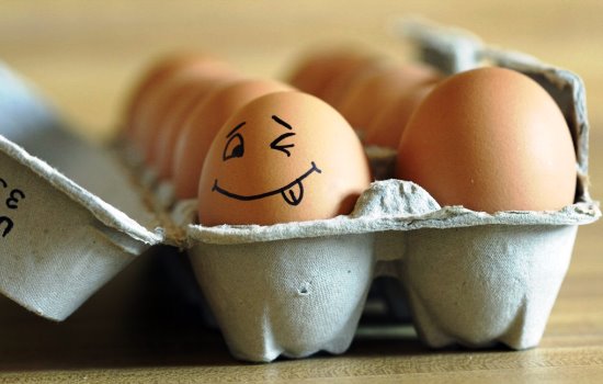 Можно ли пить сырые яйца: в чём польза продукта для здоровья. Можно ли пить сырые яйца: плюсы и минусы процедуры