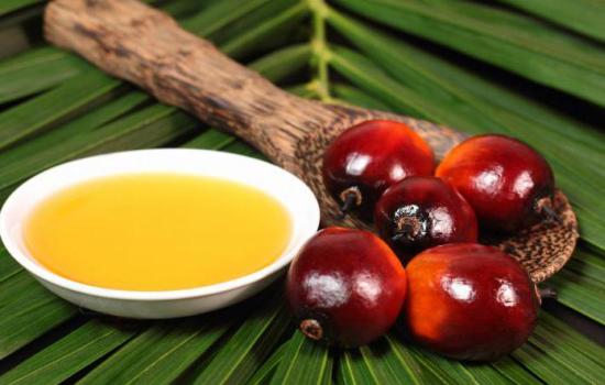 Что представляет собой пальмовое масло: польза продукта и особенности производства. Несёт ли пальмовое масло вред организму?