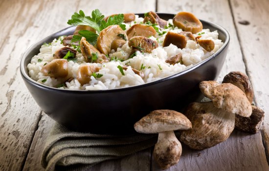 Ризотто с грибами – секреты и тонкости приготовления итальянского блюда. Рецепты вкусного ризотто с грибами