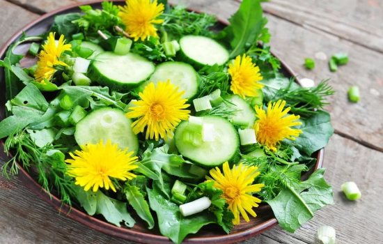 Зеленый салат из одуванчиков: в чем польза легкого весеннего блюда. Рецепты салата из одуванчиков, потенциальный вред от него