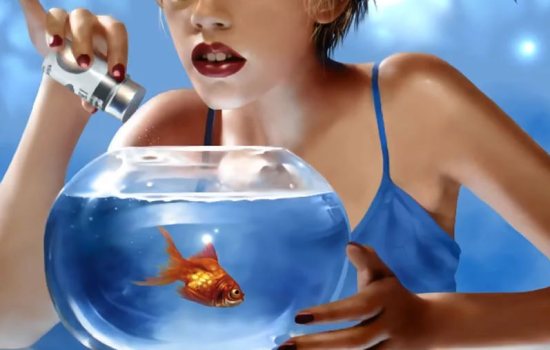 К чему снится аквариум с золотыми рыбками или с пираньями? Основные толкования разных сонников - к чему снится аквариум