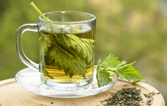Чай из крапивы: польза для организма. Как собирать, сушить, хранить и использовать крапиву для лечебного чаепития