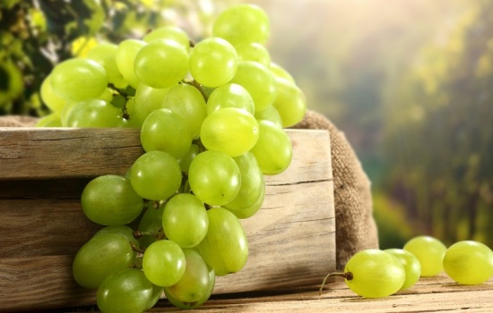 Солнечно-зеленые ягоды белого винограда — польза и особенности употребления. Секреты лечения белым виноградом, его вред