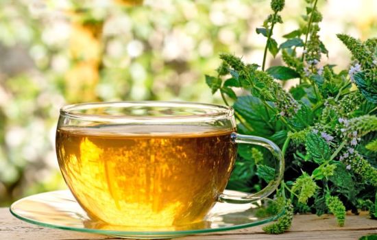 Польза чая с мелиссой для организма человека. Возможный вред чая с мелиссой, правила заваривания и особенности употребления