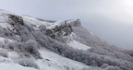 Почему стоит поехать в Крым зимой?
