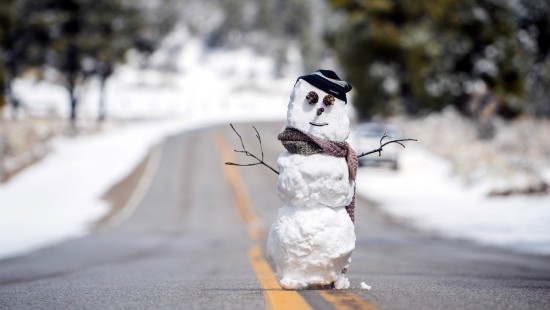 Снеговик – кто и когда его придумал, почему его боялись наши предки. Зачем у снеговика морковка вместо носа?
