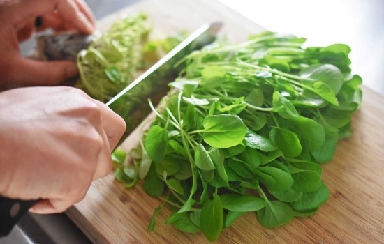 Как зеленые листовые овощи защищают здоровье печени?