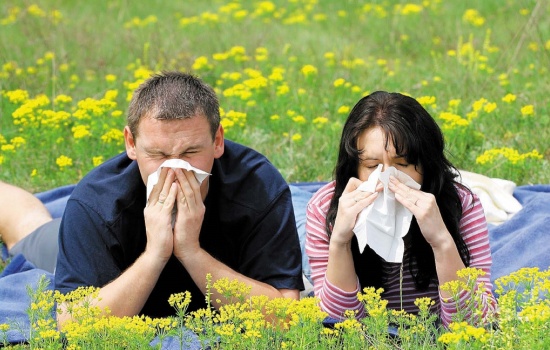 Почему женщины страдают от аллергии гораздо чаще и сильнее, чем мужчины?