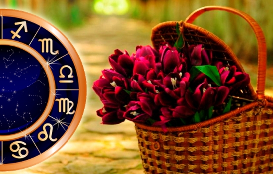 Каким будет для вас 16 апреля: специальный женский гороскоп для всех знаков Зодиака