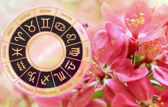 Каким будет для вас 23 апреля: специальный женский гороскоп для всех знаков Зодиака