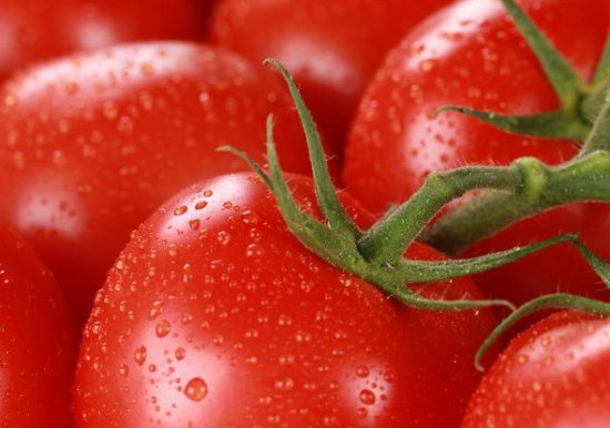 Проверенные сорта томатов для Урала и Сибири: лучшие разновидности для открытого грунта и теплиц