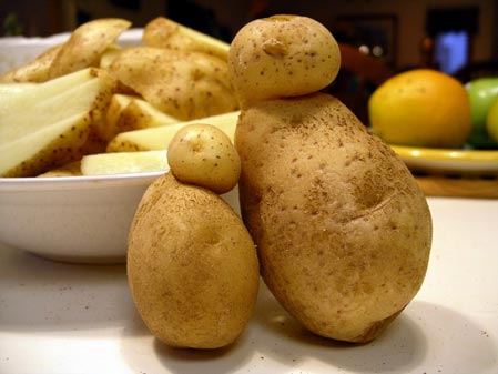 К чему снится картошка: сырая или жареная, окучивать картошку? Основные толкования разных сонников - к чему снится картошка