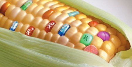 Новое исследование доказало: ГМО продукты вызывают рак