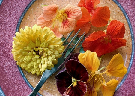 Новая кулинарная мода в Германии - цветочные блюда