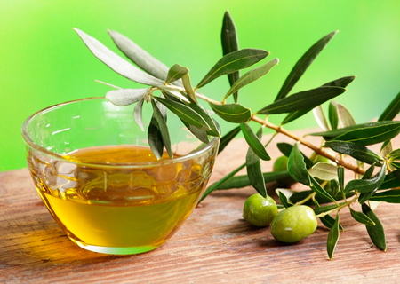 Оливковое масло способно укреплять скелет человека