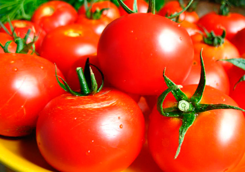 Ученые: томаты могут помочь в лечении мужского бесплодия
