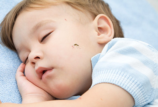 Укус комара у ребенка - опасно ли это? Что делать если ребенка искусали комары.