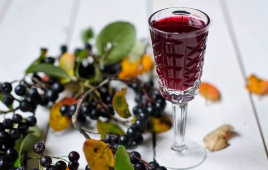 Вино из черноплодной рябины в домашних условиях – неповторимый напиток! Рецепты приготовления ароматного вина из черноплодной рябины в домашних условиях