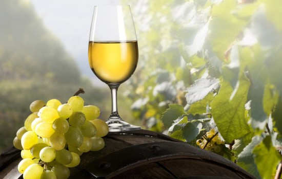 Белое вино в домашних условиях: для настоящих гурманов. Рецепты белого вина в домашних условиях: из винограда, алычи, крыжовника