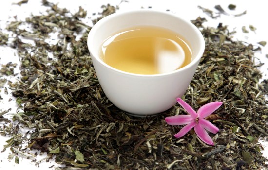 Правда и фантазии о белом чае: полезном и вредном одновременно. В чем истинная польза белого чая и есть ли вред от него?