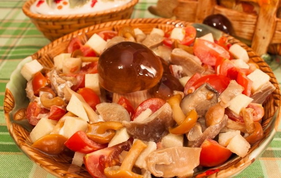 Грибы с помидорами – лучшие рецепты. Способы приготовления грибов с помидорами: жарим, варим, тушим, запекаем, маринуем