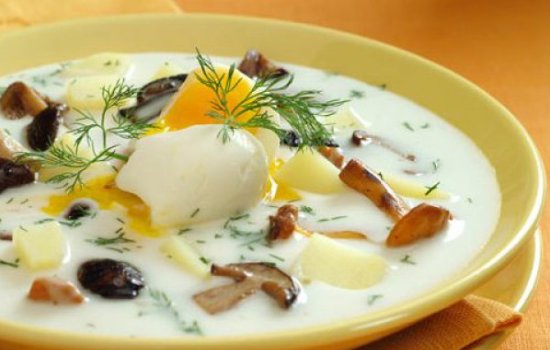 Суп из опят – это просто и полезно! Самые лёгкие рецепты супа из опят: с мясом, крупой, в горшочках, рассольник и солянка