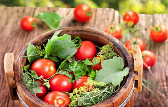 Зелёные и красные, на вкус – прекрасные, солёные помидоры в бочке на зиму. Разные способы заготовки помидоров в бочке на зиму