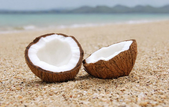 Кокосовый орех или кокос: полезен или вреден? Калорийность, польза и вред кокоса, и его влияние на здоровье детей и взрослых