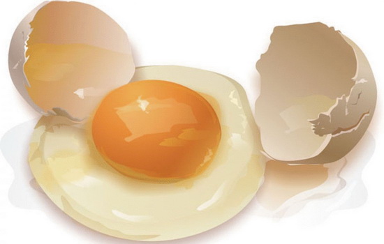 Сырые яйца: калорийность, польза и вред от их употребления. Какие секреты таят сырые яйца, как ими можно навредить здоровью?