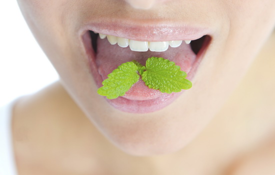 Запах лука изо рта: как избавиться быстро и эффективно. Если запах лука изо рта мешает сведению или работе – избавимся от него!