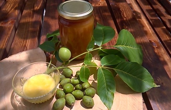 Полезные свойства зеленого грецкого ореха с медом – простой рецепт. Рекомендации по применению зеленого грецкого ореха с медом