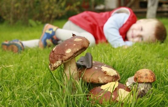 Отравление ядовитыми грибами: симптомы и признаки. Первая помощь при отравлении грибами, диета, дальнейшее лечение