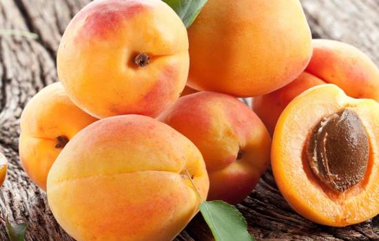 Замораживают ли абрикосы, что будет, когда их разморозишь. Рецепты, рекомендации, как можно заморозить абрикосы на зиму