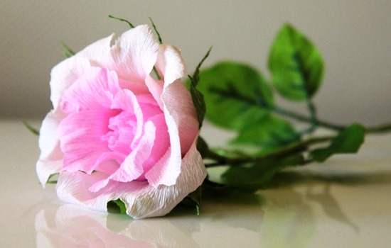 Рукотворное чудо: как сделать розу из гофрированной бумаги. Три варианта роз из гофрированной бумаги: мастер-класс с фото