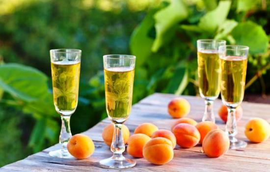 Домашние виноделы раскрывают секреты простых вин из абрикосов. Рецепты разного домашнего вина из абрикоса