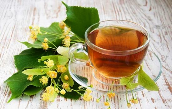 Липовый чай: полезные свойства и противопоказания. Цветки липы: полезные свойства для здоровья, рецепты отваров на все случаи