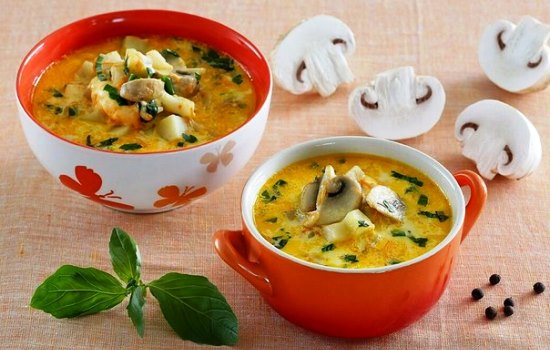 Суп с шампиньонами и сыром – побалуйте свою семью! Подборка лучших рецептов супа с шампиньонами и плавленым сыром