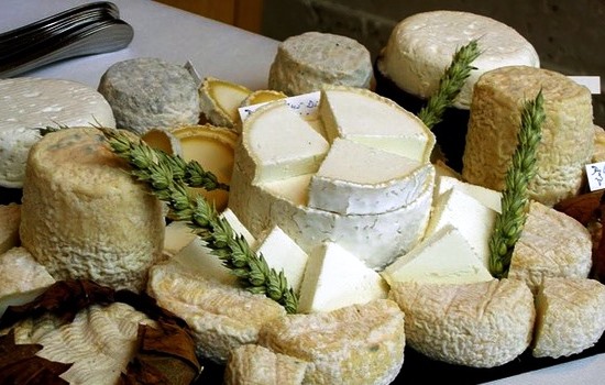 Как сделать козий сыр в домашних условиях: идеи для малого бизнеса с учётом санкций. Домашний сыр из козьего молока – лучше!
