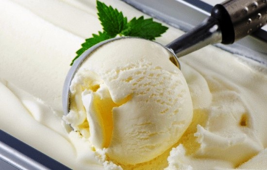 Рецепты домашнего мороженого с молоком – подарок сладкоежкам. Пломбир, крем-брюле и другое домашнее мороженое из молока