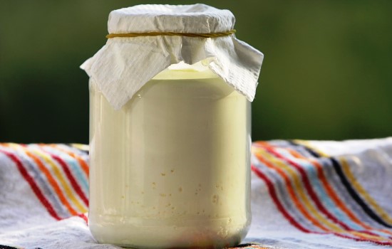 Соус славян: сметана из молока – рецепты в домашних условиях. Полезные факты о сметане из молока, рецепт натурального продукта