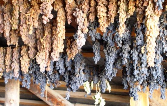 Как сделать изюм из винограда в домашних условиях – сохраняем урожай! Все способы и советы, как сделать хороший изюм из винограда дома