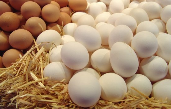 К чему снится много яиц: сырых, варёных, тухлых, разбитых, огромных? Основные толкования к чему снится много яиц -