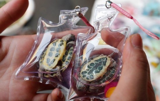 Японские кондитеры дают супер-идею подарка для любимой! Кому помогут шоколадные амулеты?