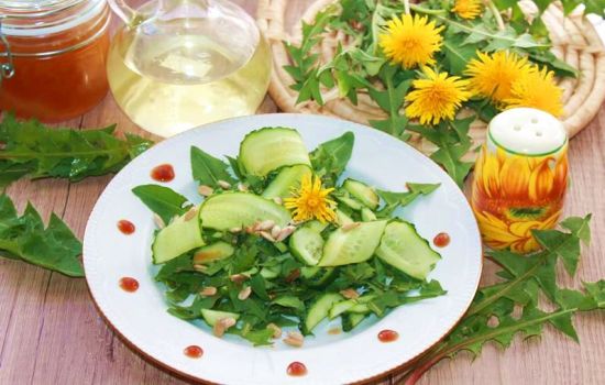 Салат из листьев одуванчика – почти лекарство! Варианты салатов из листьев одуванчика с сыром, овощами, яйцами, фруктами, орехами