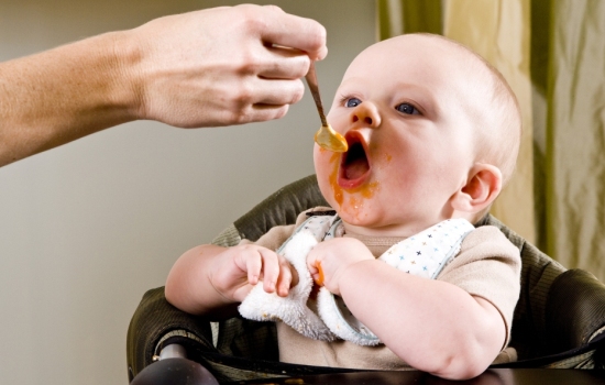 Из каких продуктов должно состоять питание ребенка в 5 месяцев. На что обратить внимание при выборе питания ребенка в 5 месяцев, рецепты