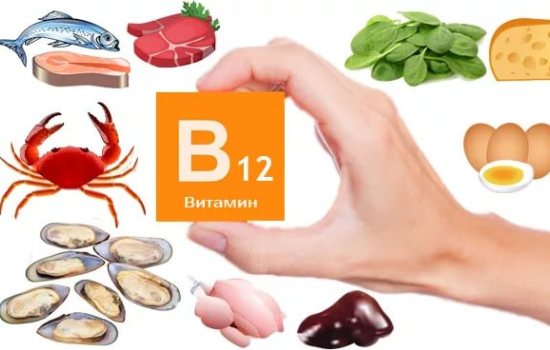 Чудо-витамин B12: в каких продуктах он содержится? О природных источниках витамина B12, как хранить и готовить продукты его содержащие